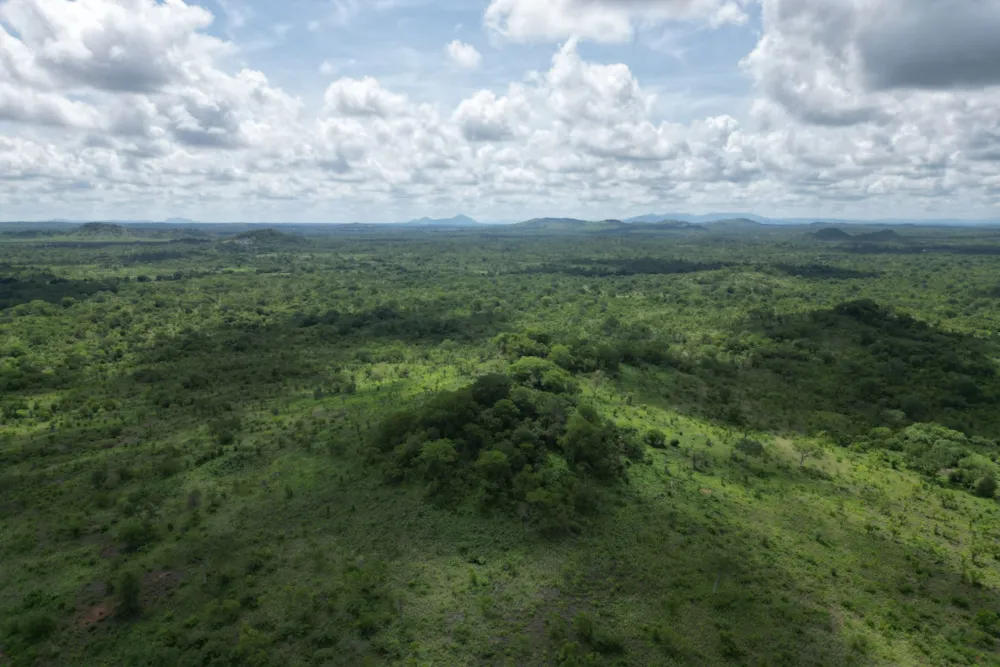 Farm vacant land for investment in Tete, Tete, Mozambique - 3MQ1689461 Farm vacant land for investment in Tete, Tete, Mozambique - 3MQ1689461