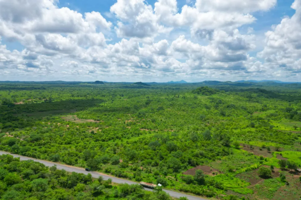 Farm vacant land for investment in Tete, Tete, Mozambique - 3MQ1689461 Farm vacant land for investment in Tete, Tete, Mozambique - 3MQ1689461