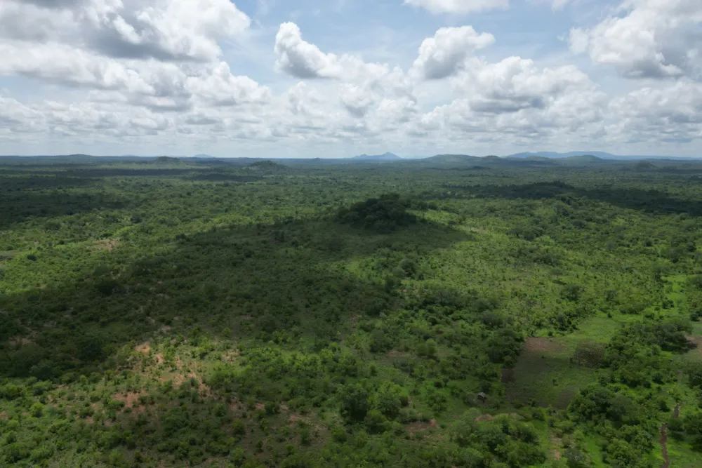 Farm vacant land for investment in Tete, Tete, Mozambique - 3MQ1689461 Farm vacant land for investment in Tete, Tete, Mozambique - 3MQ1689461