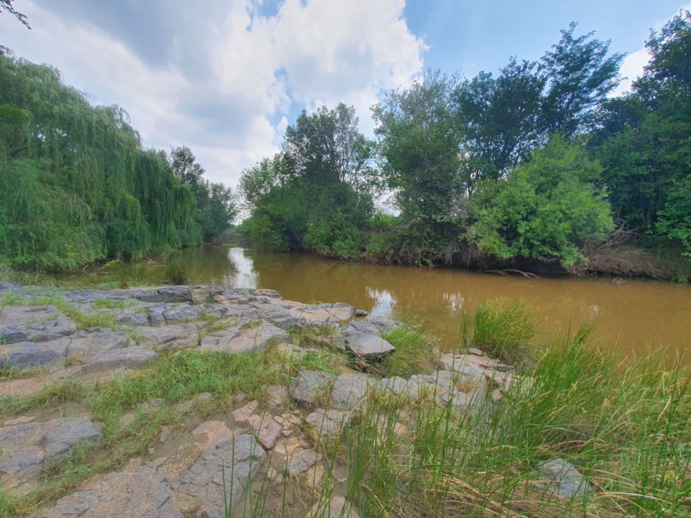 Mixed use farm for sale in Vischgat - 1VT1689823 Mixed use farm for sale in Vischgat - 1VT1689823