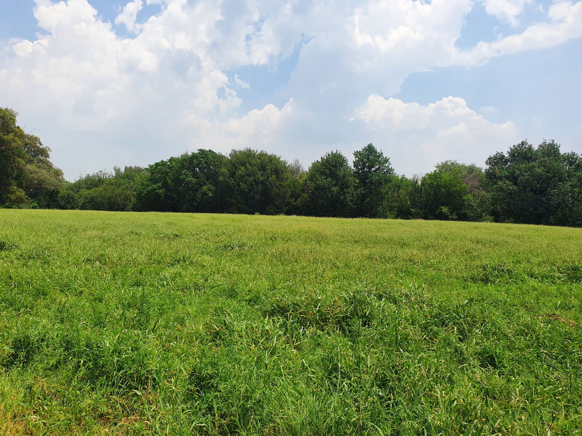 Mixed use farm for sale in Vischgat - 1VT1689823