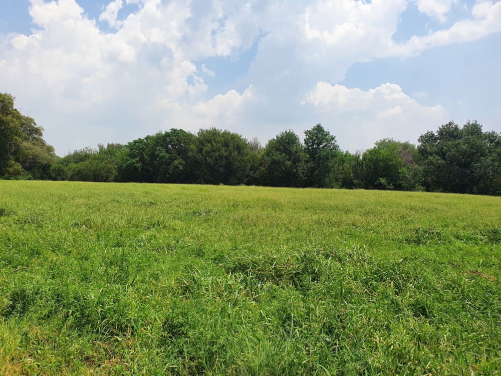 Mixed use farm for sale in Vischgat - 1VT1689823 Mixed use farm for sale in Vischgat - 1VT1689823