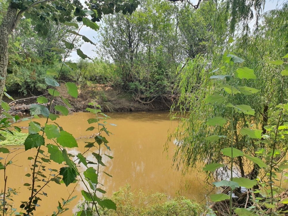 Mixed use farm for sale in Vischgat - 1VT1689823 Mixed use farm for sale in Vischgat - 1VT1689823