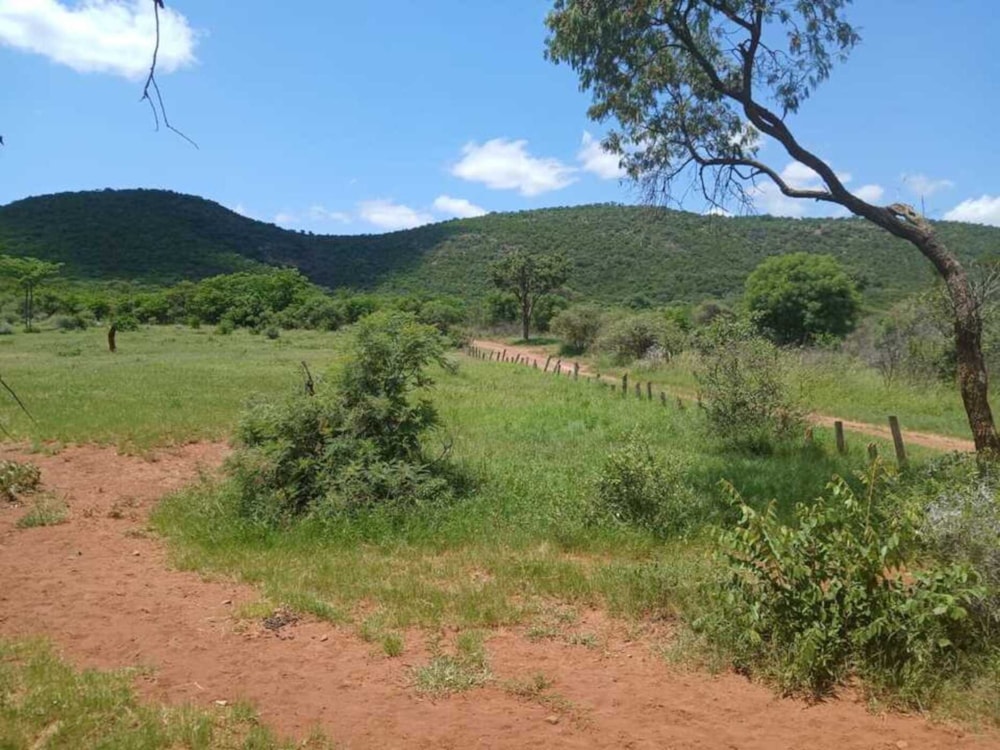 Game farm for sale in Groblersdal Rural - 1MD1690042