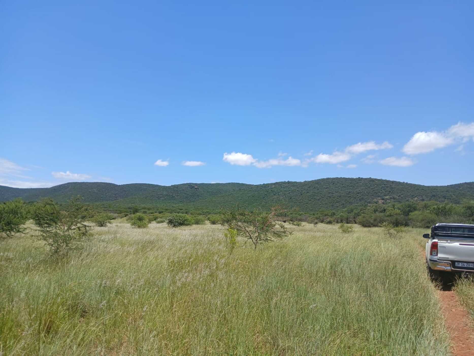 Game farm for sale in Groblersdal Rural - 1MD1690042