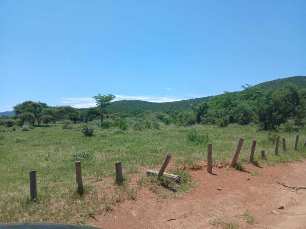 Game farm for sale in Groblersdal Rural - 1MD1690042