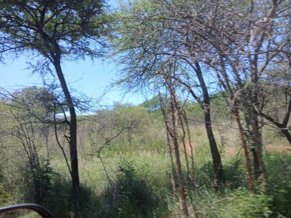 Game farm for sale in Groblersdal Rural - 1MD1690042