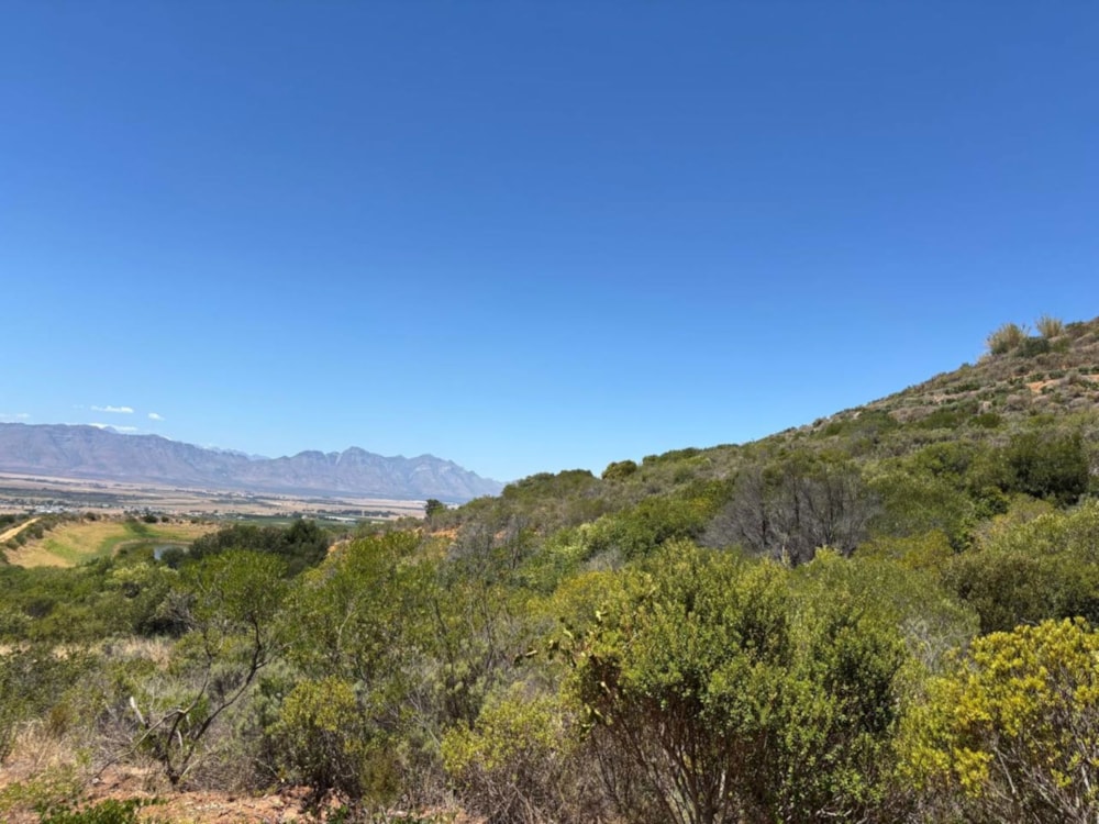 Vacant land sold in Riebeek Kasteel - RV1690396 Vacant land sold in Riebeek Kasteel - RV1690396