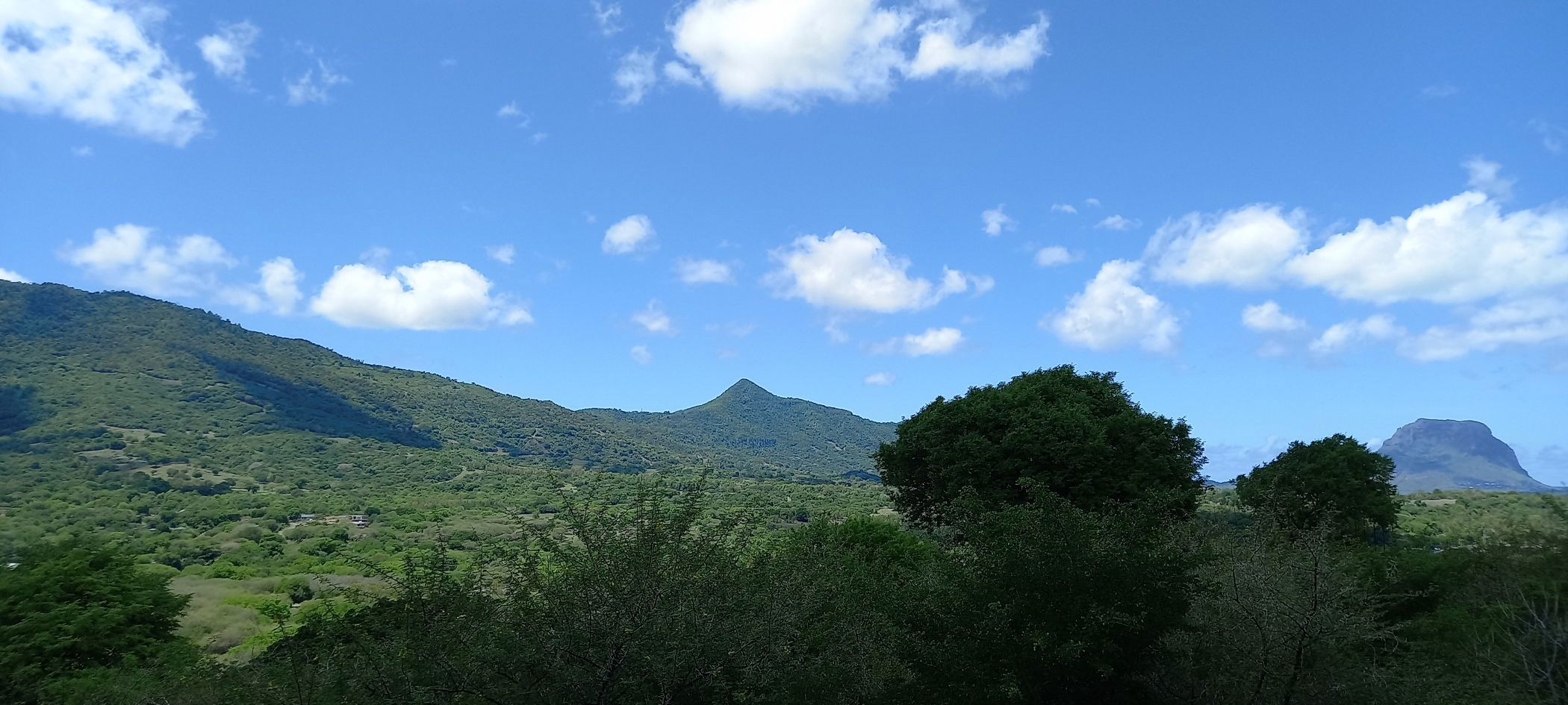 Residential vacant land for sale in Petite Riviere Noire, Mauritius - MUR1690314