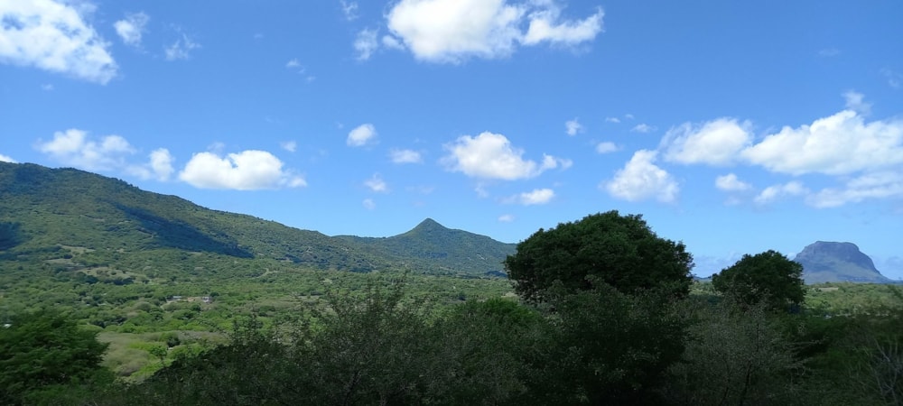 Residential vacant land for sale in Petite Riviere Noire, Mauritius - MUR1690314