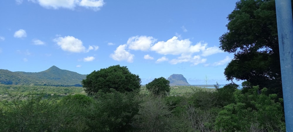 Residential vacant land for sale in Petite Riviere Noire, Mauritius - MUR1690314