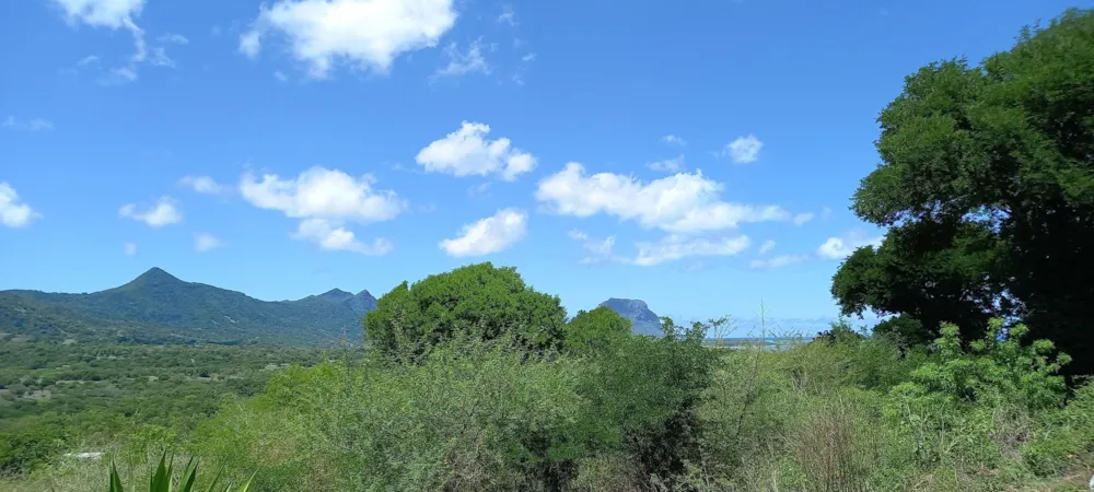 Residential vacant land for sale in Petite Riviere Noire, Mauritius - MUR1690314 Residential vacant land for sale in Petite Riviere Noire, Mauritius - MUR1690314