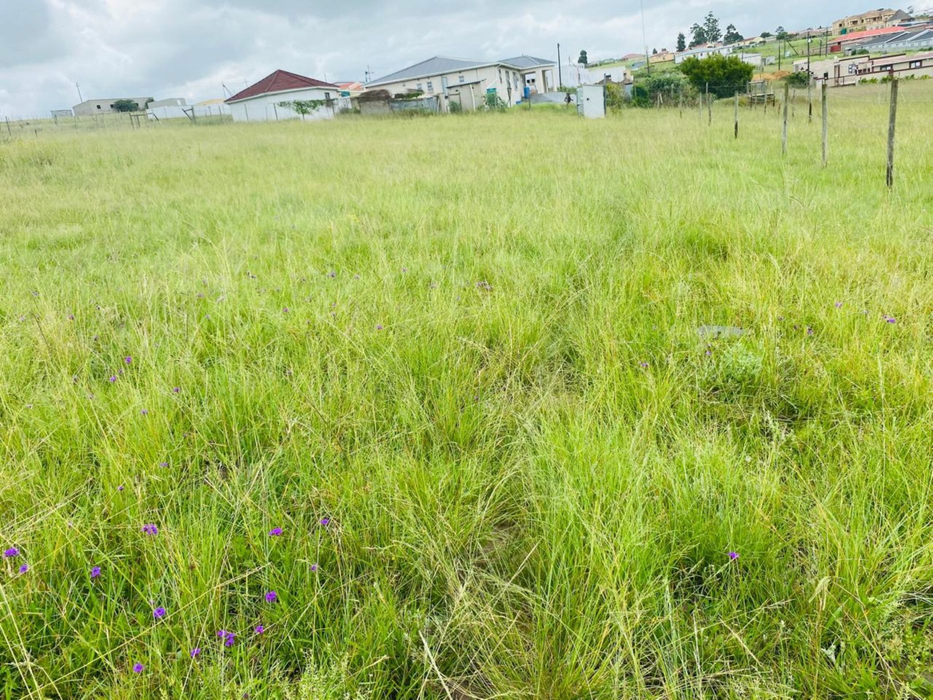Vacant land for sale in Butterworth - 1MH1690427
