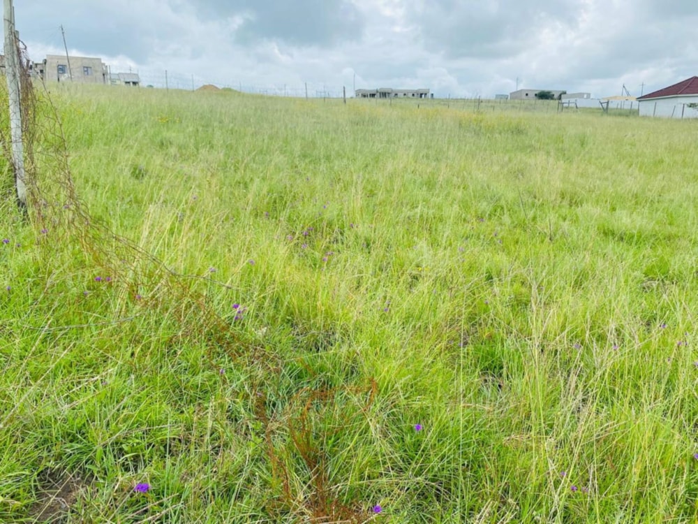 Vacant land for sale in Butterworth - 1MH1690427