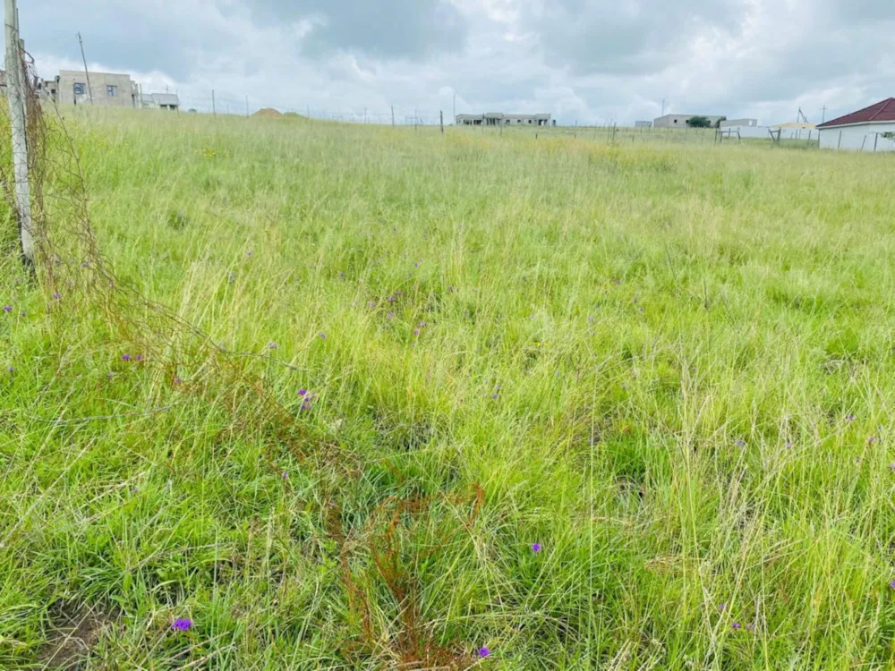 Vacant land for sale in Butterworth - 1MH1690427 Vacant land for sale in Butterworth - 1MH1690427