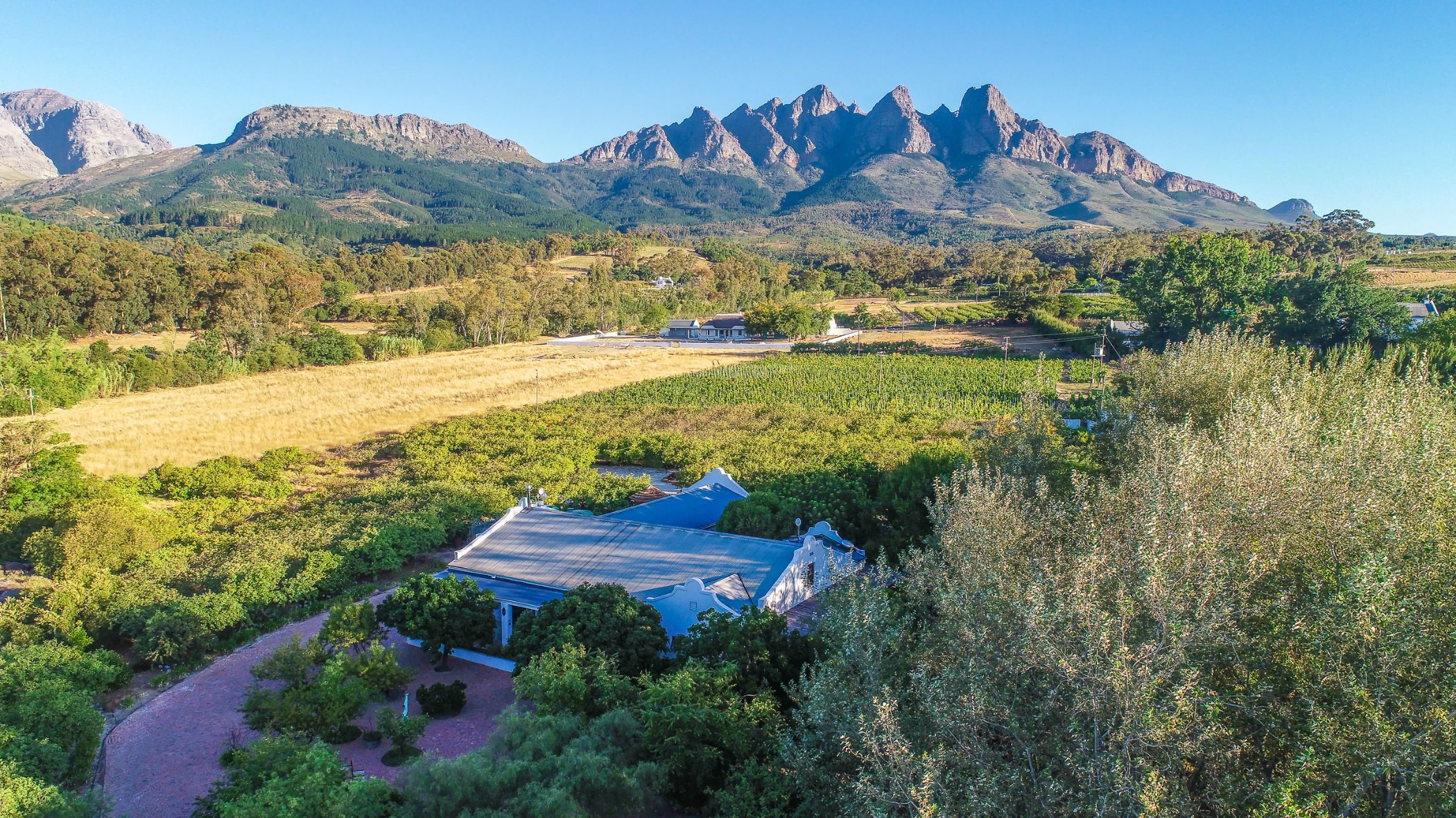 Wine farm for sale in Wellington Rural - TK1691243