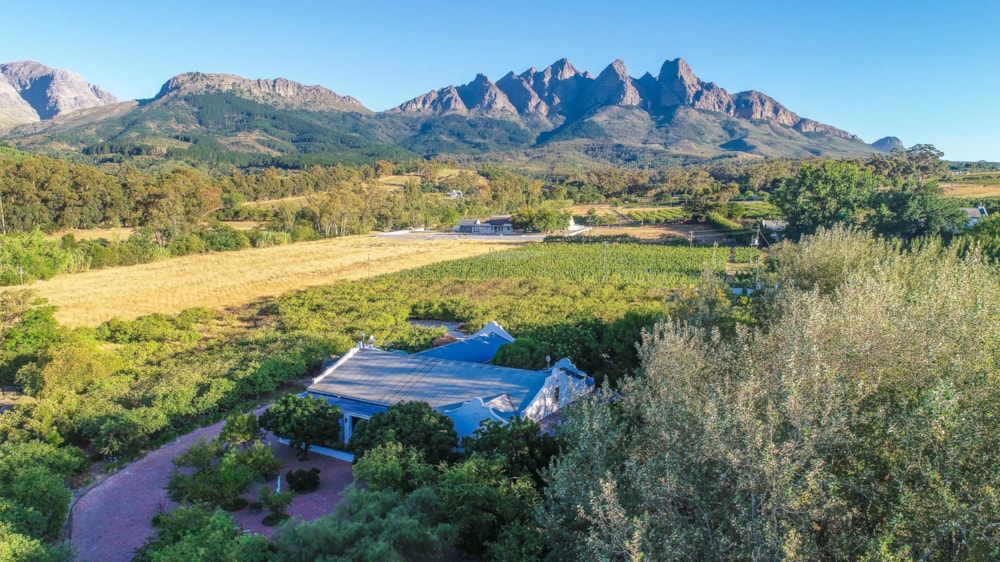 Wine farm for sale in Wellington Rural - TK1691243