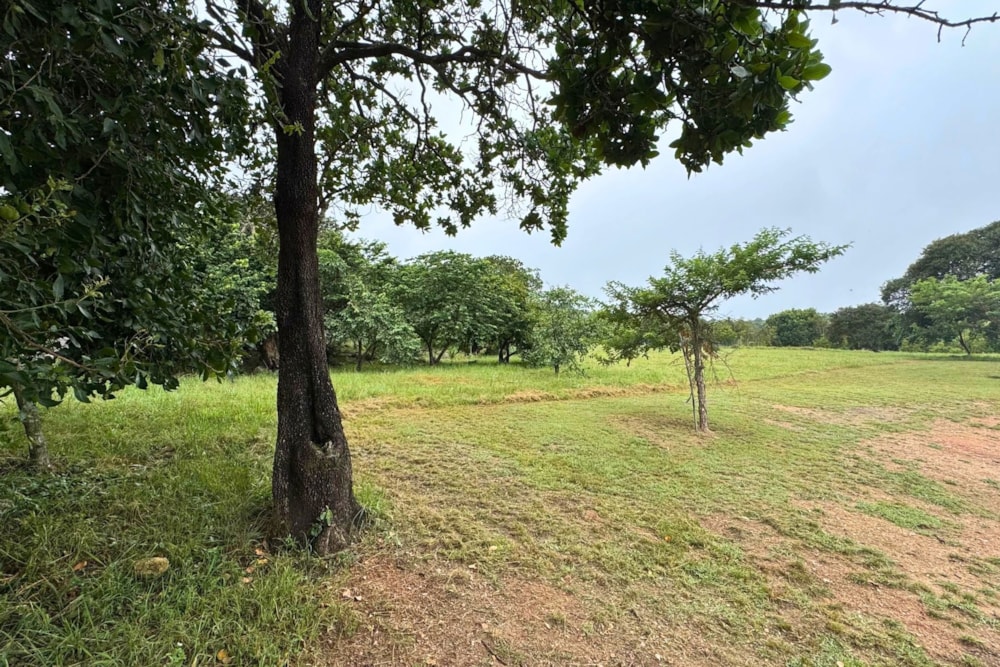 Vacant land for sale in The Rest - 1NS1692636