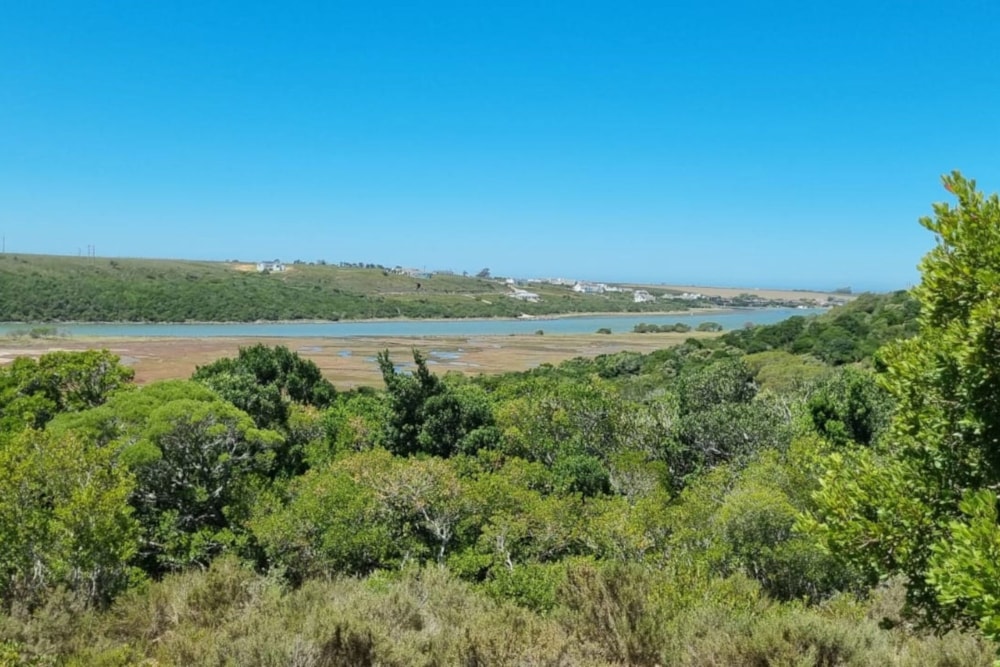 Smallholding for sale in St Francis Bay Rural - 1SA1690539 Smallholding for sale in St Francis Bay Rural - 1SA1690539