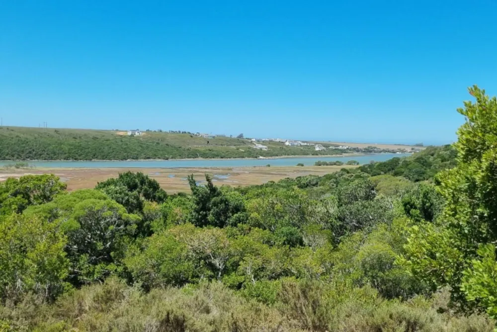 Smallholding for sale in St Francis Bay Rural - 1SA1690539 Smallholding for sale in St Francis Bay Rural - 1SA1690539