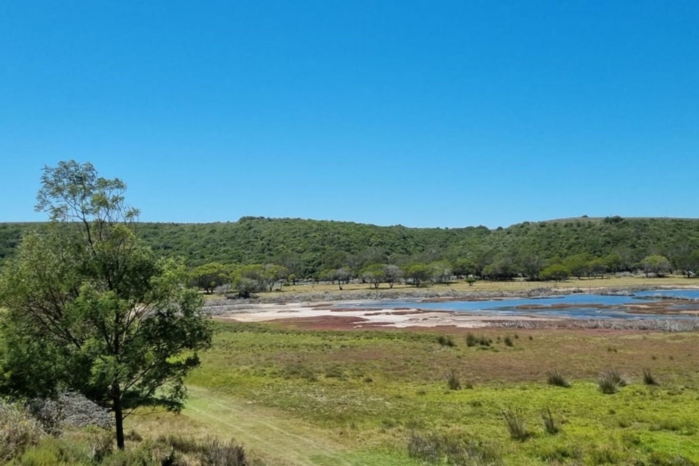 Smallholding for sale in St Francis Bay Rural - 1SA1690539 Smallholding for sale in St Francis Bay Rural - 1SA1690539