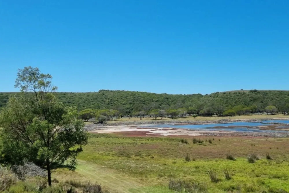 Smallholding for sale in St Francis Bay Rural - 1SA1690539 Smallholding for sale in St Francis Bay Rural - 1SA1690539