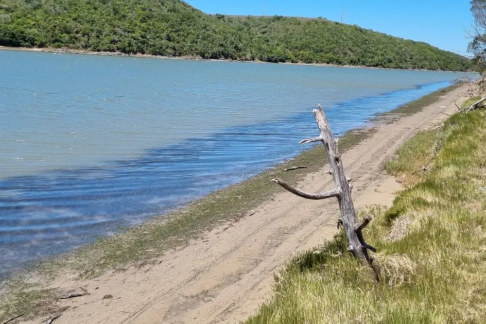 Smallholding for sale in St Francis Bay Rural - 1SA1690539 Smallholding for sale in St Francis Bay Rural - 1SA1690539