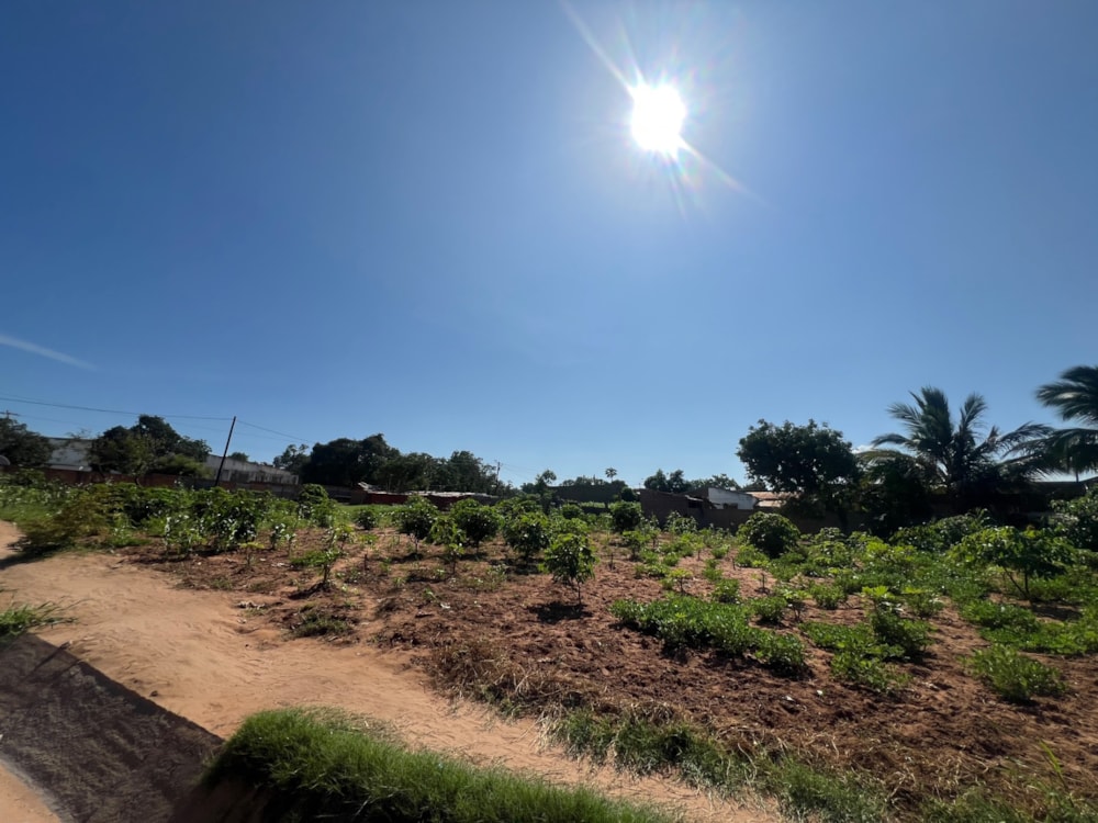 Commercial vacant land for investment in Pemba, Cabo Delgado, Mozambique - 3MQ1690535