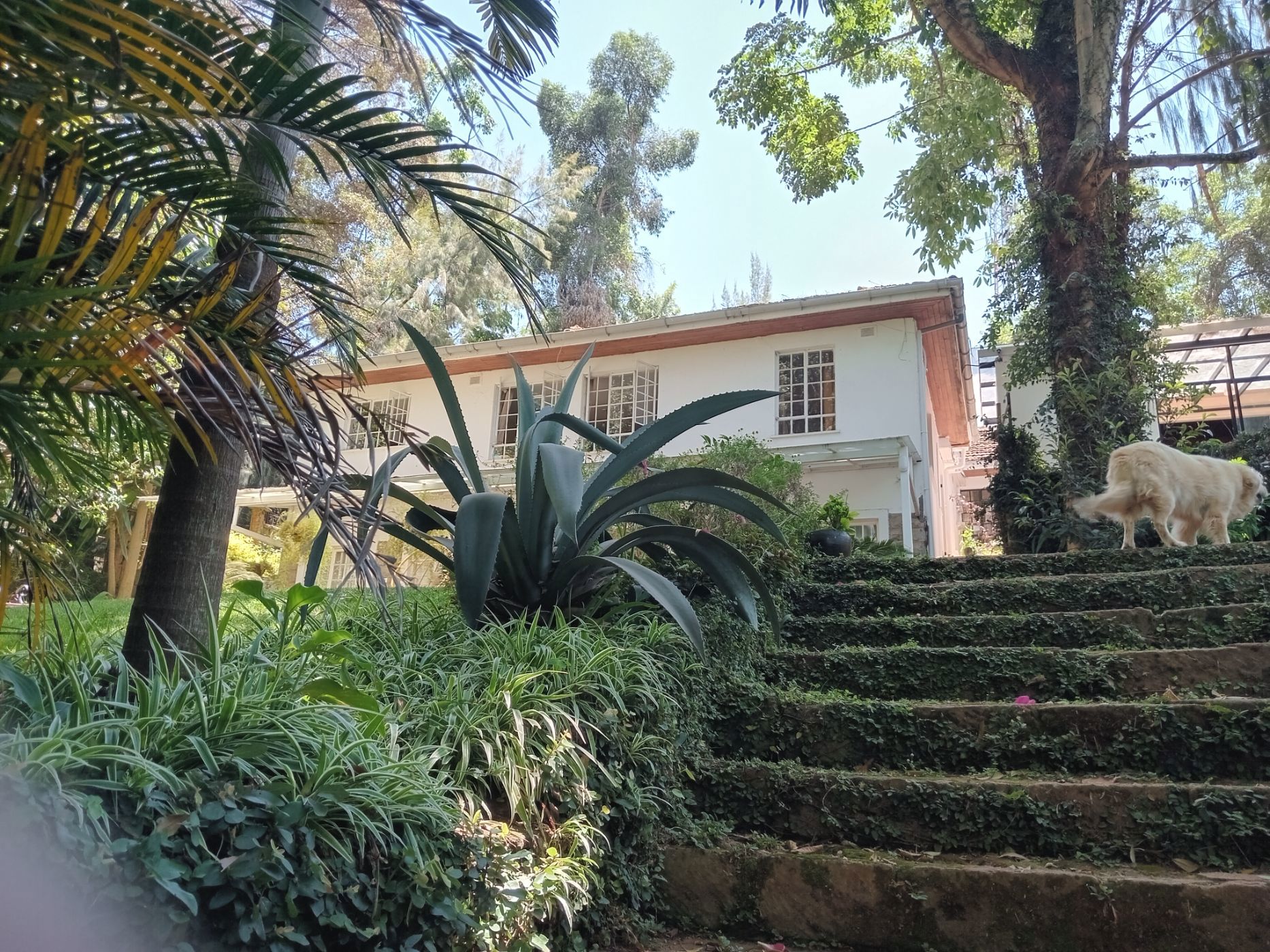 Double-storey house let in Lavington, Kenya - 3KE1691756