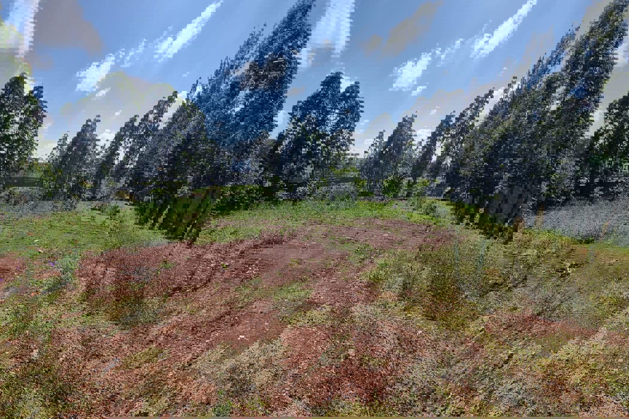 Residential vacant land for sale in Runda , Kenya - 3KE1705931