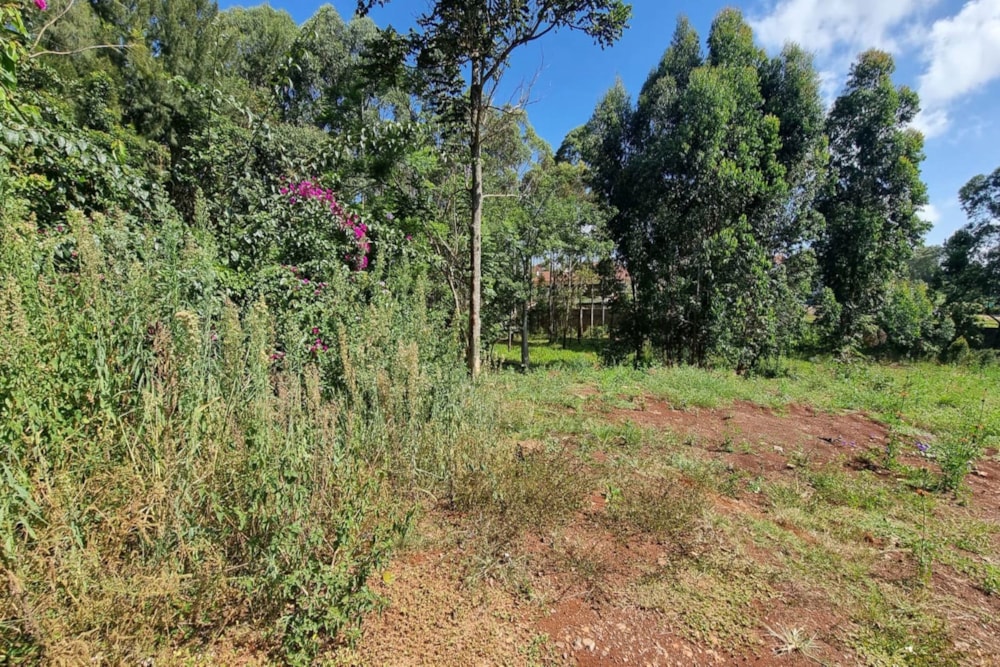Residential vacant land for sale in Runda , Kenya - 3KE1705931 Residential vacant land for sale in Runda , Kenya - 3KE1705931