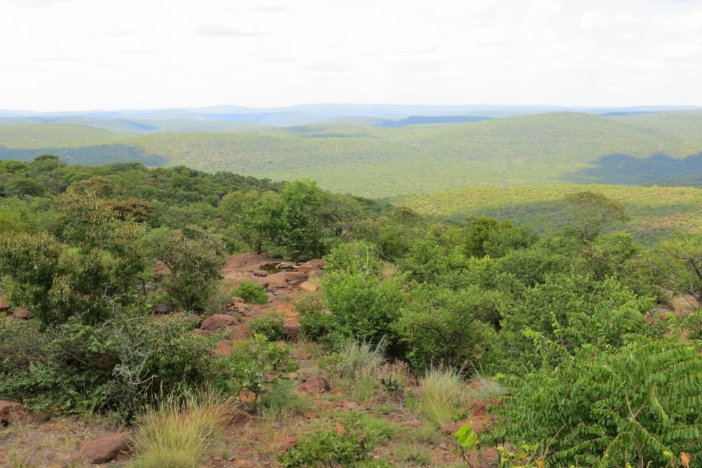 Security estate home to rent in Lephalale Rural - 1ER1691135 Security estate home to rent in Lephalale Rural - 1ER1691135