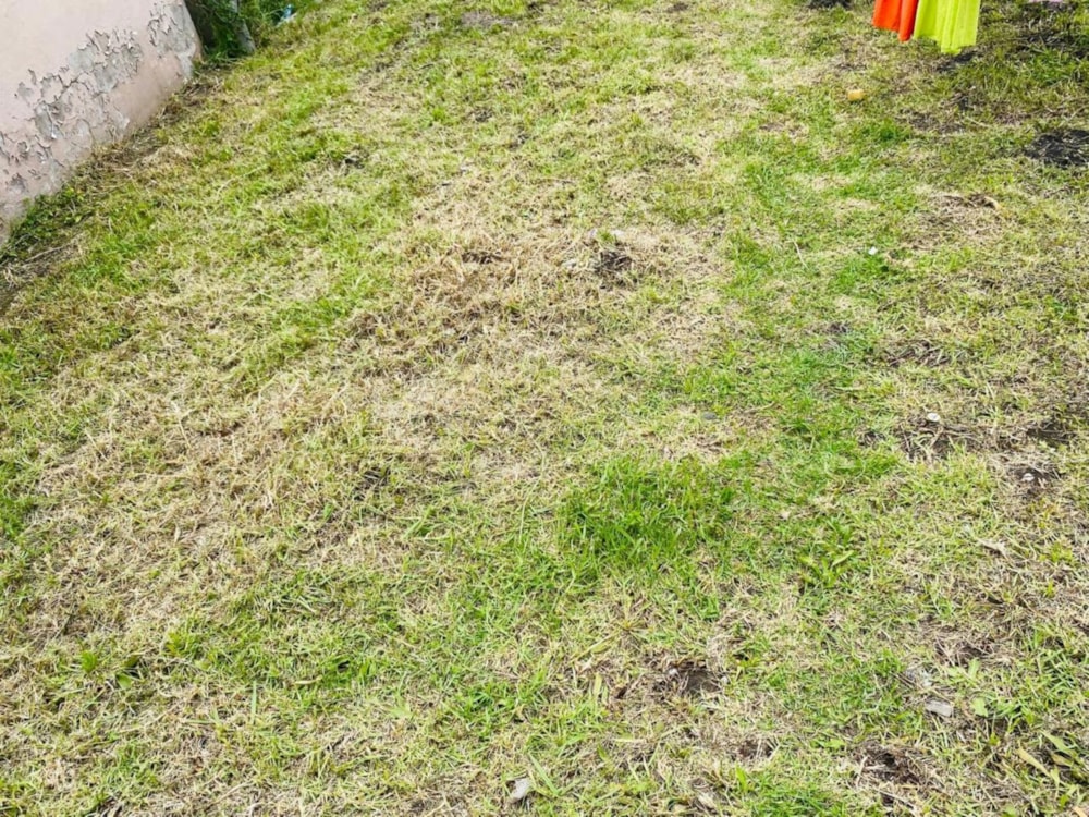 House for sale in Butterworth - 1MH1691147