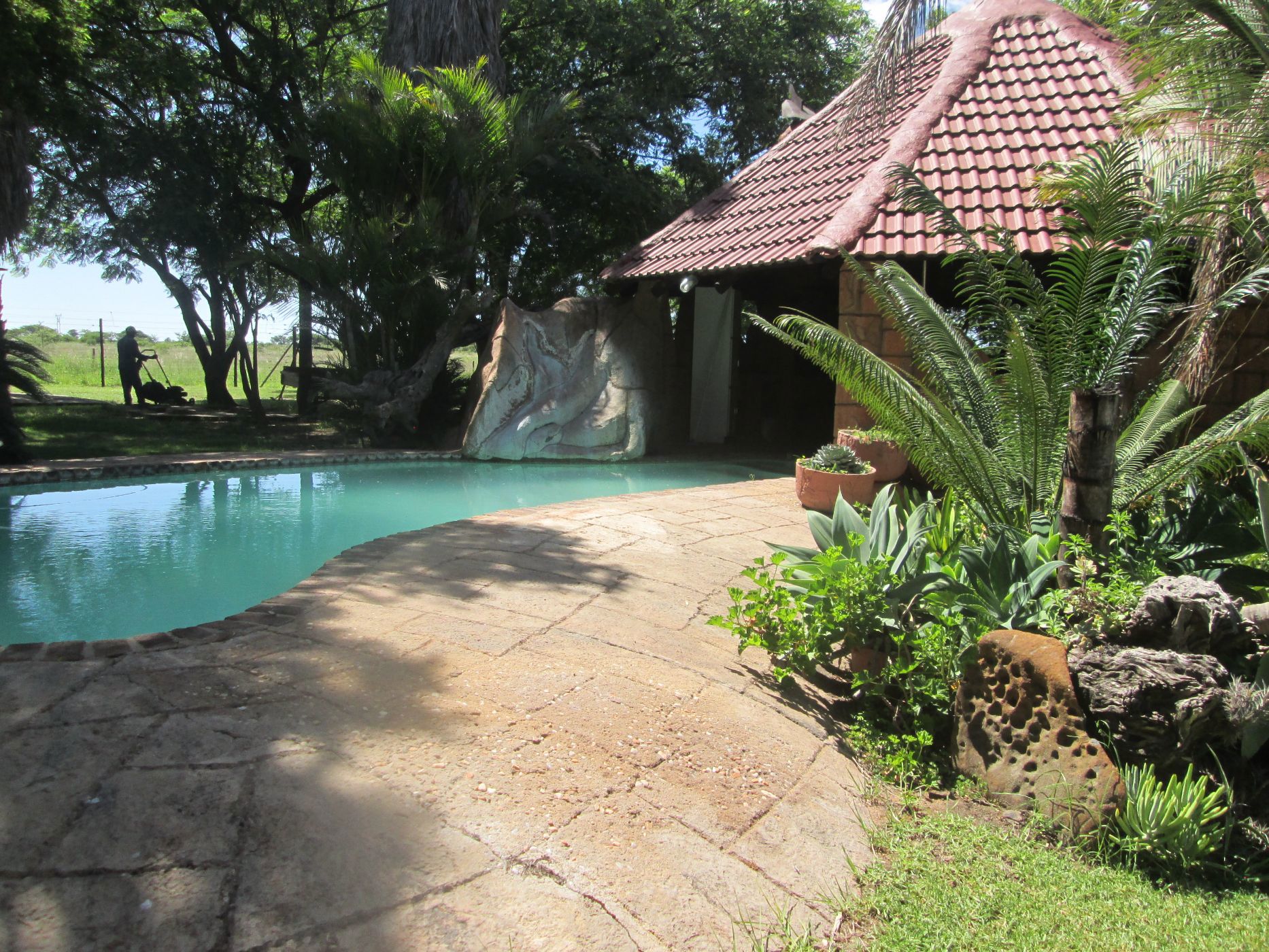 Smallholding for sale in Pelgrimshoop - 1PS1691223