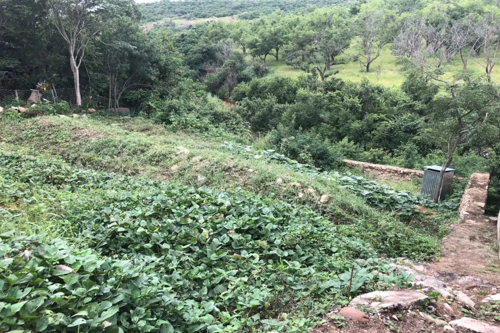 Residential vacant land for sale in West Acres Ext 20 - 1NS1691281 Residential vacant land for sale in West Acres Ext 20 - 1NS1691281