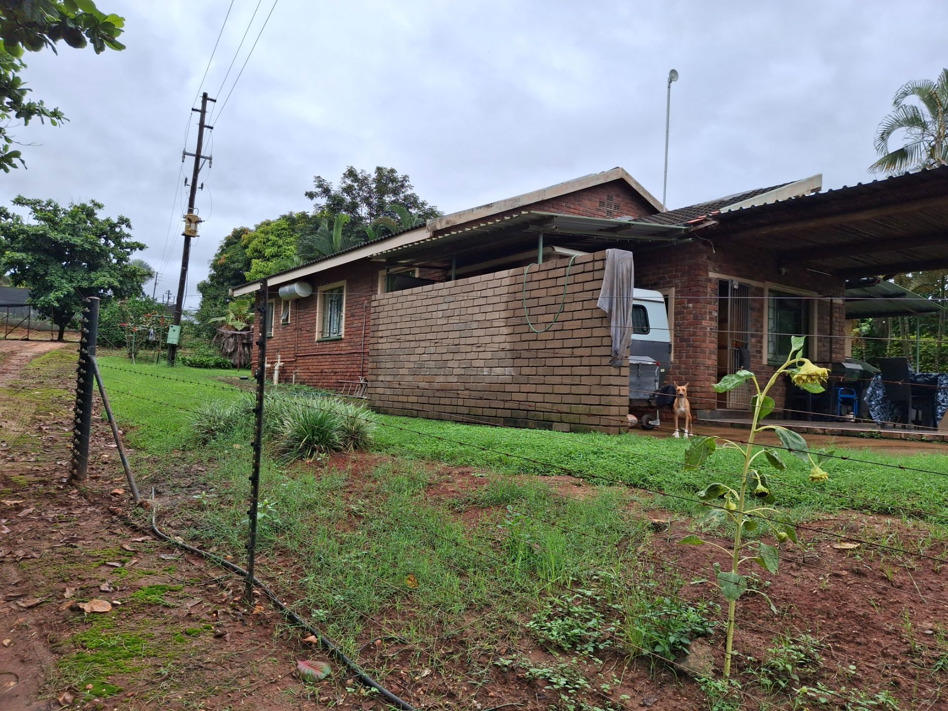 Smallholding for sale in Lushof A H - 1TA1692005