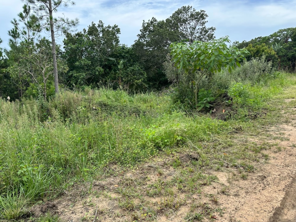 Residential vacant land for sale in Palm Beach - 1PD1691505 Residential vacant land for sale in Palm Beach - 1PD1691505
