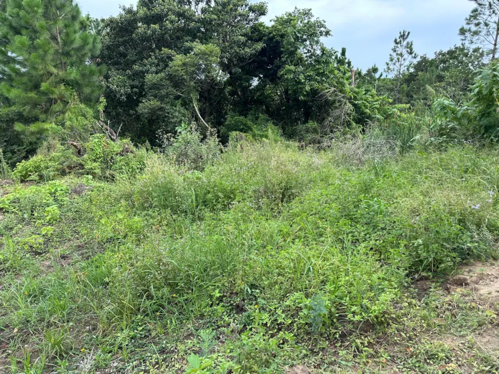 Residential vacant land for sale in Palm Beach - 1PD1691505 Residential vacant land for sale in Palm Beach - 1PD1691505