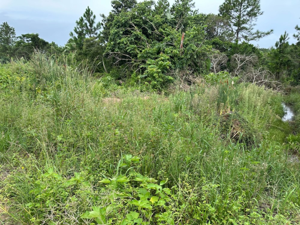 Residential vacant land for sale in Palm Beach - 1PD1691505