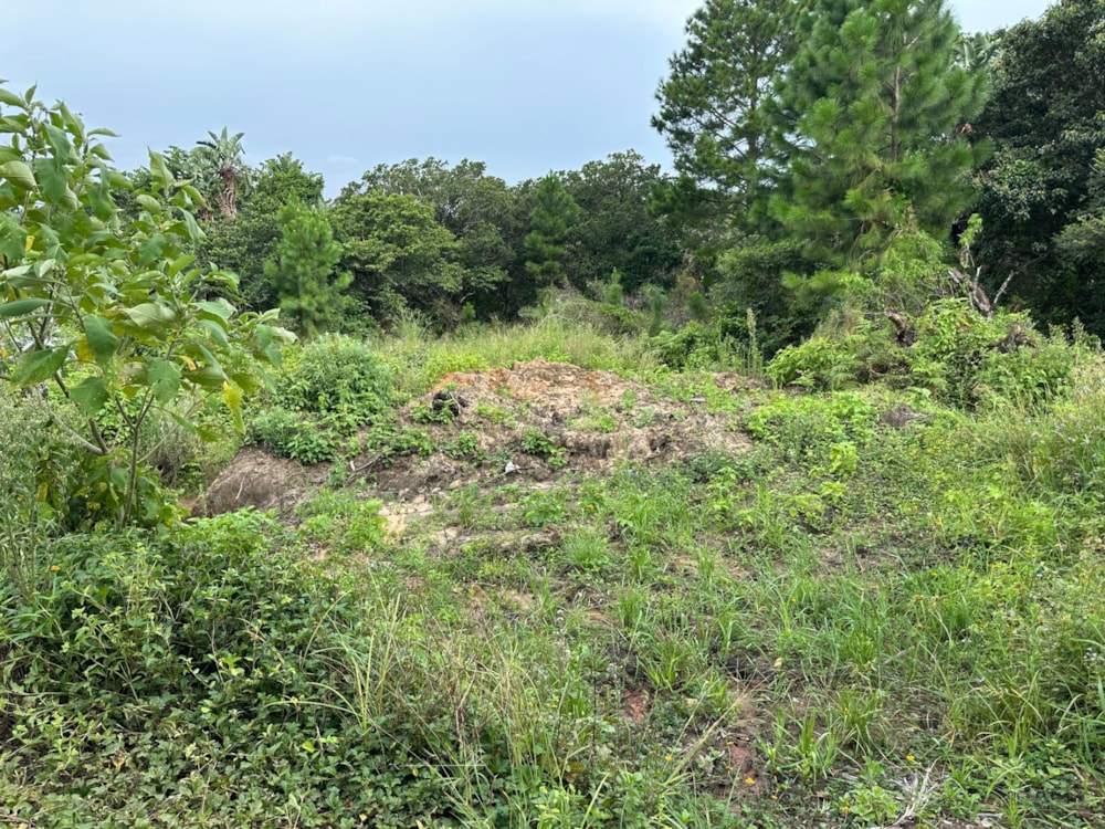 Residential vacant land for sale in Palm Beach - 1PD1691505 Residential vacant land for sale in Palm Beach - 1PD1691505