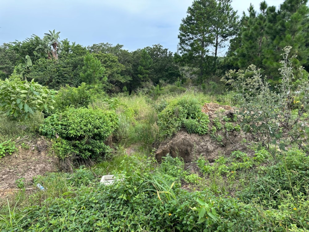 Residential vacant land for sale in Palm Beach - 1PD1691505 Residential vacant land for sale in Palm Beach - 1PD1691505