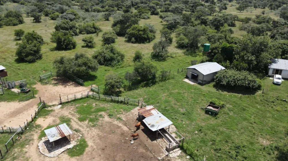 Livestock farm for sale in Swartruggens - 1RU1692292 Livestock farm for sale in Swartruggens - 1RU1692292