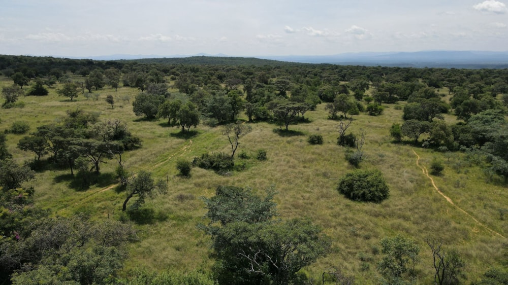 Livestock farm for sale in Swartruggens - 1RU1692292