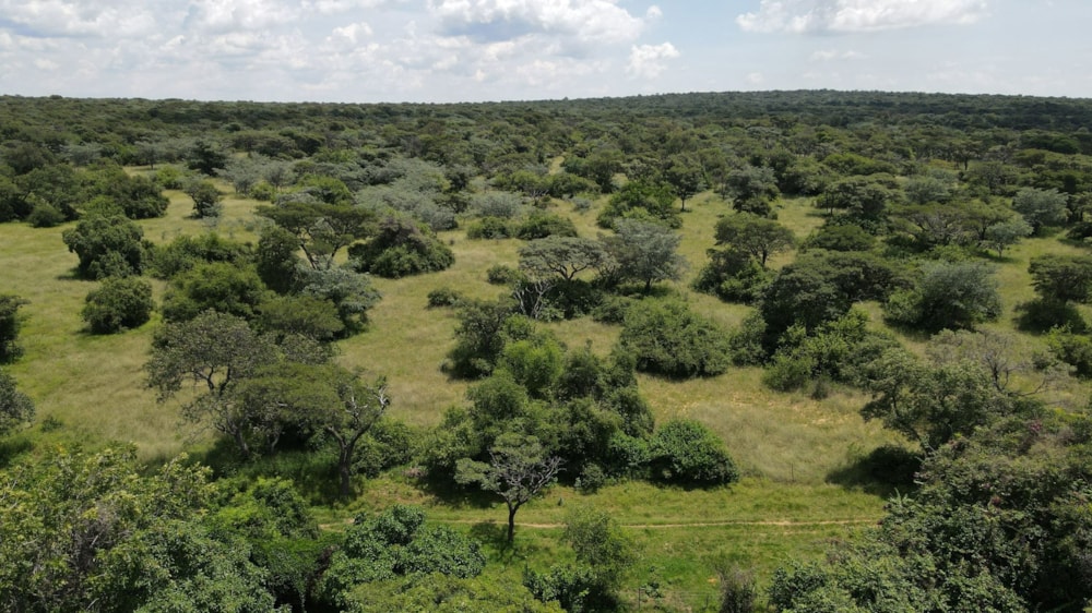 Livestock farm for sale in Swartruggens - 1RU1692292