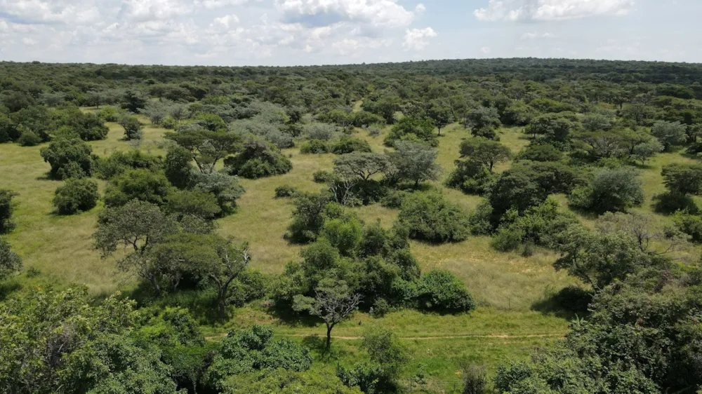 Livestock farm for sale in Swartruggens - 1RU1692292 Livestock farm for sale in Swartruggens - 1RU1692292