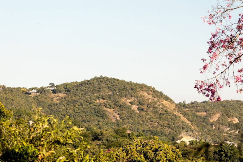 Vacant land for sale in Nelspruit Ext 11 - 1NS1692072