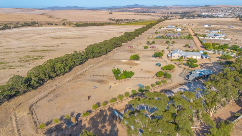 Equestrian farm for sale in Malmesbury - TK1694760