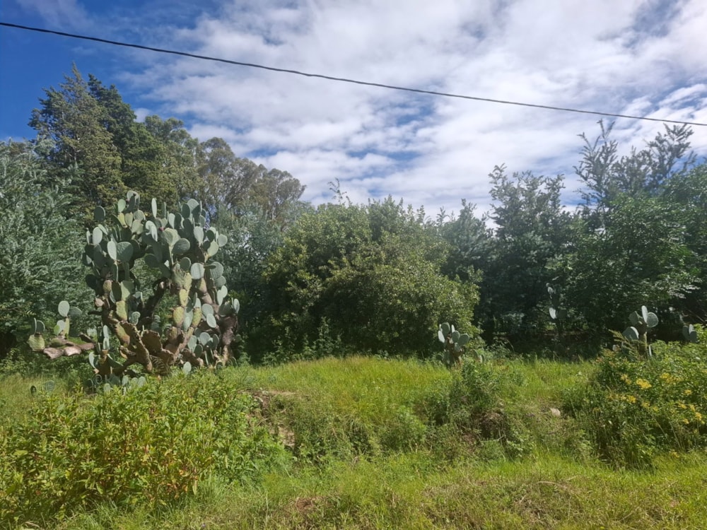 Residential vacant land for sale in Paul Roux - 1BTH1692641