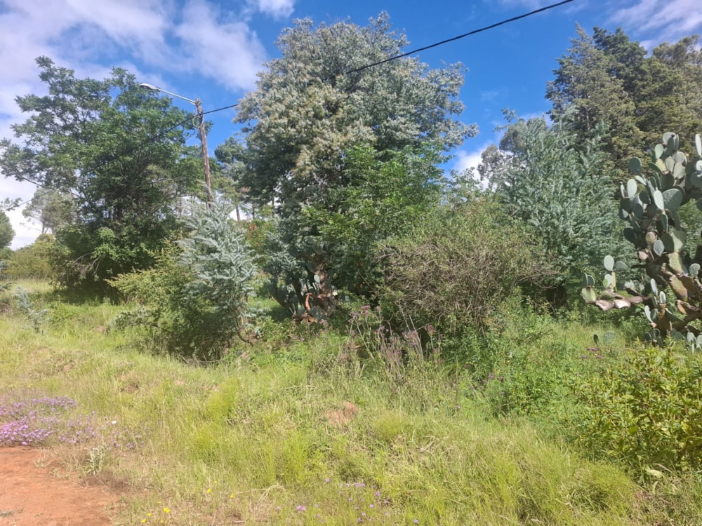 Residential vacant land for sale in Paul Roux - 1BTH1692641 Residential vacant land for sale in Paul Roux - 1BTH1692641