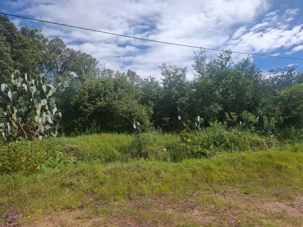 Residential vacant land for sale in Paul Roux - 1BTH1692641 Residential vacant land for sale in Paul Roux - 1BTH1692641